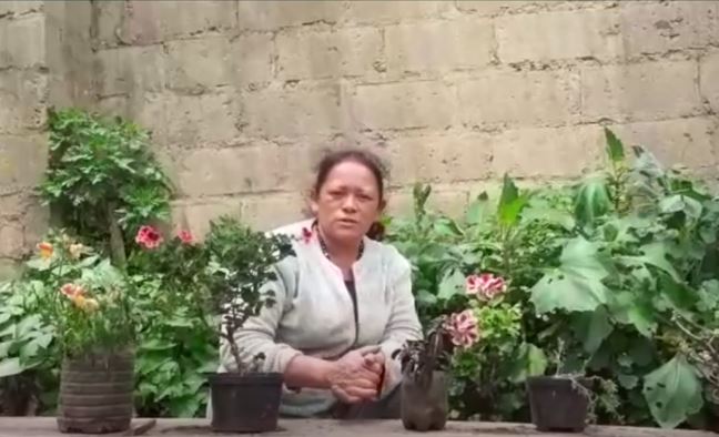 Rosa Poveda Grana Agroecológica