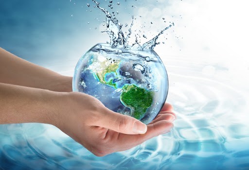 Medio Ambiente
