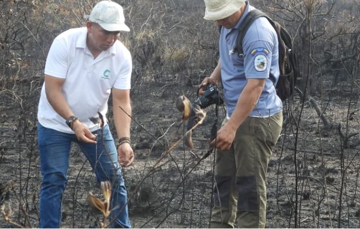 Desafíos medio ambiente en Colombia
