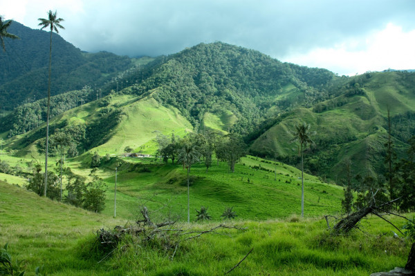 paisaje colombiano