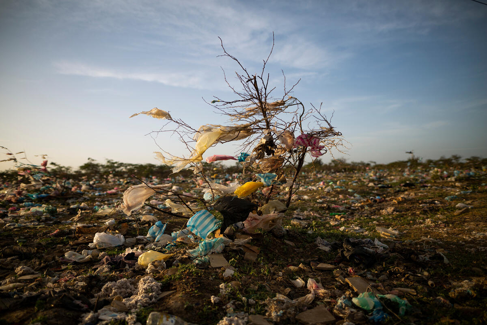 Contaminacion del oceano