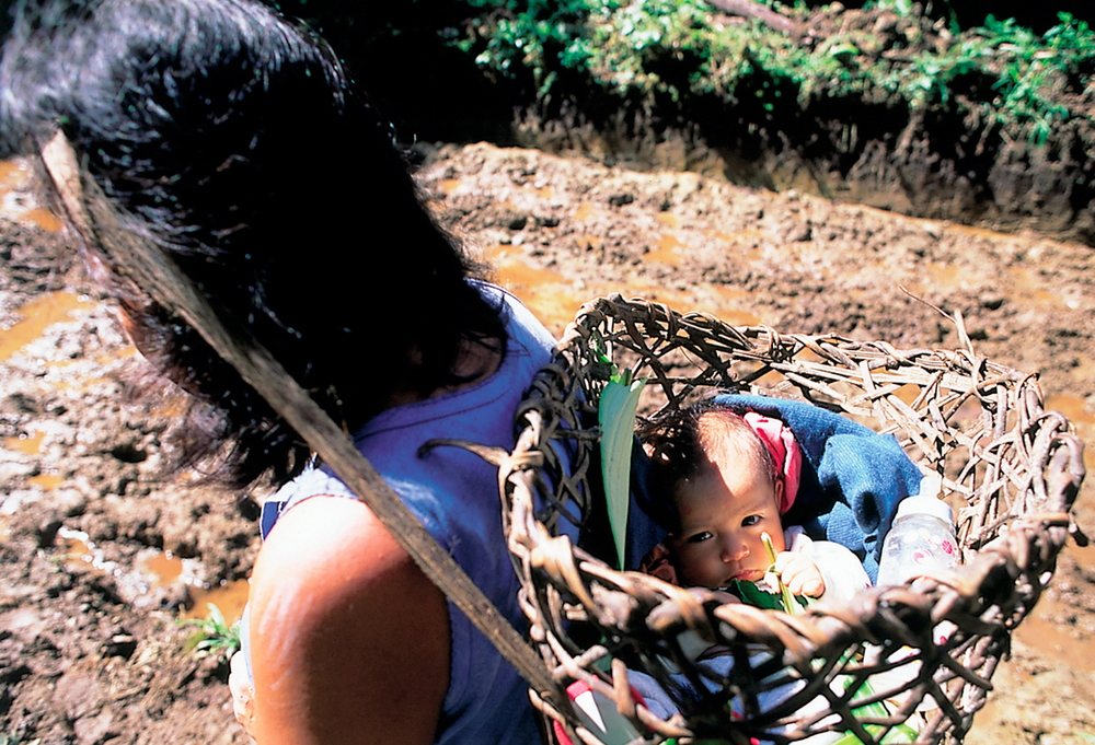 Mujeres madres y naturaleza