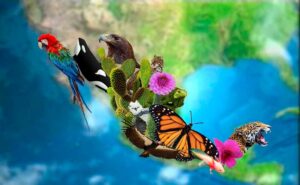 Biodiversidad en el planeta